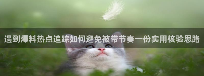 51吃瓜网站入口：遇到爆料热点追踪如何避免被带节奏一份实用核验思路