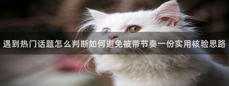 51吃瓜每日事件：遇到热门话题怎么判断如何避免被带节奏一份实用核验思路