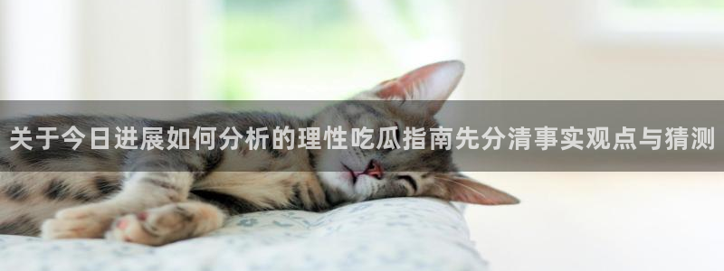 热点事件排行:关于今日进展如何分析的理性吃瓜指南先分清事实观点与猜测