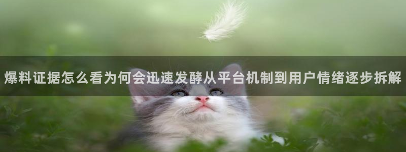 51吃瓜事件搜索