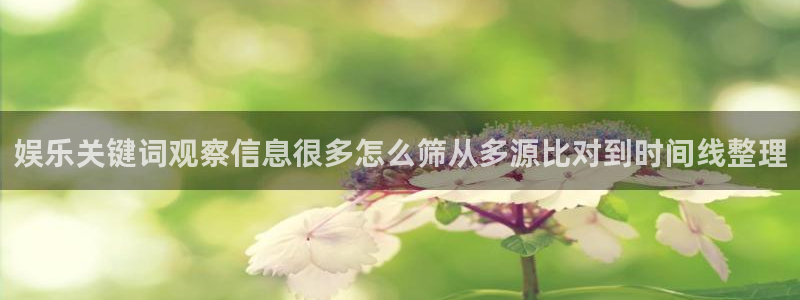网络热门资讯