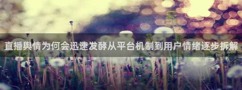 51吃瓜网页导航