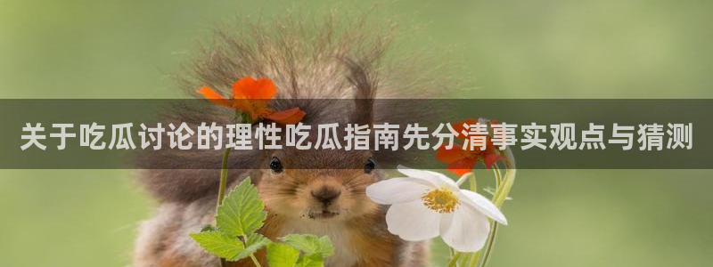 今日吃瓜